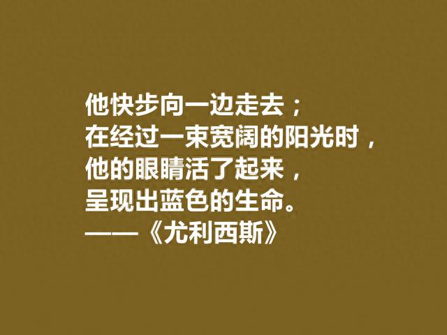 爱尔兰作家乔伊斯，小说《尤利西斯》十句话，象征意义深刻，精湛