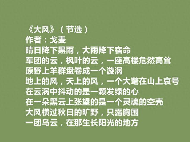 一位纯粹的诗人，戈麦却被遗忘，细品他十首诗，句句挖掘生命救赎