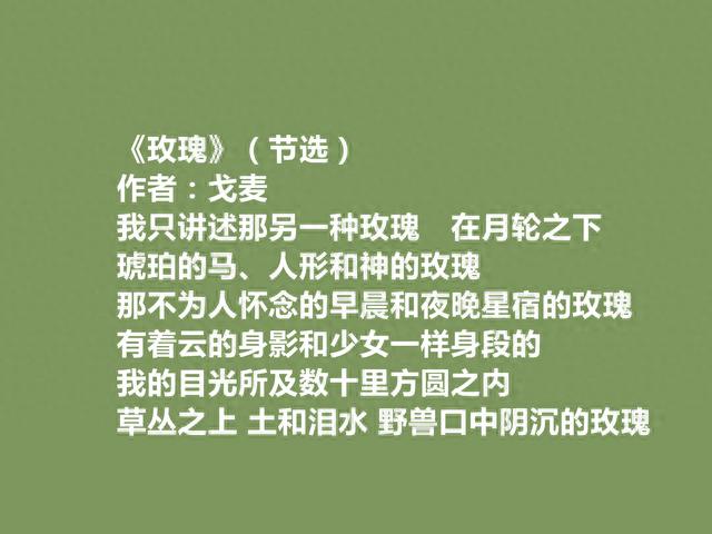 一位纯粹的诗人，戈麦却被遗忘，细品他十首诗，句句挖掘生命救赎