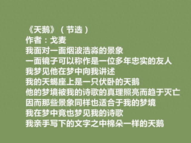 一位纯粹的诗人，戈麦却被遗忘，细品他十首诗，句句挖掘生命救赎