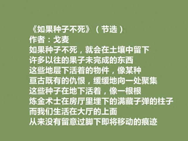 一位纯粹的诗人，戈麦却被遗忘，细品他十首诗，句句挖掘生命救赎