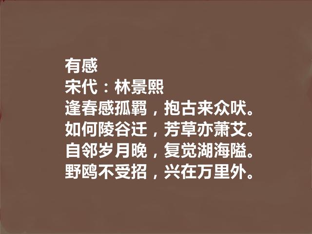 南宋遗民诗人代表，林景熙十首诗，悲愤情怀浓烈，细品真回味无穷