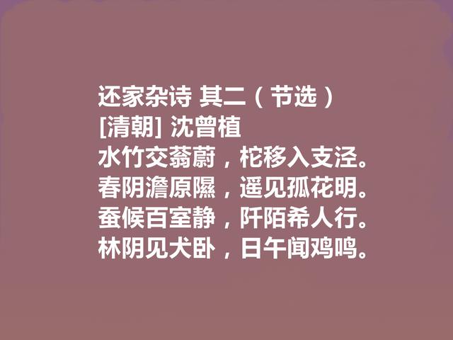 清末民初诗人，被奉为魁杰，沈曾植十首诗，充满真性情，值得细品