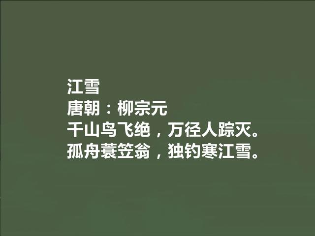 唐朝中期诗人，柳宗元十首诗，极具哲学意味，山水诗让人赞不绝口