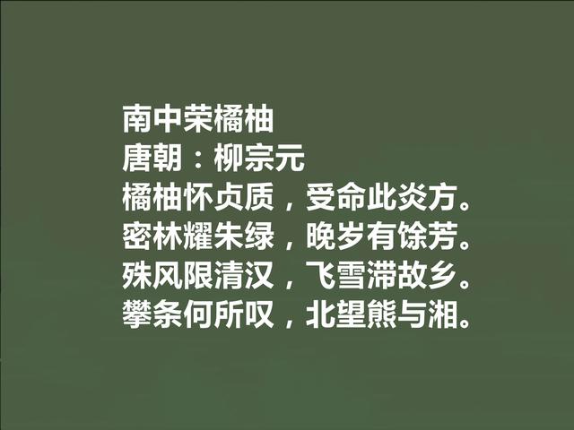 唐朝中期诗人，柳宗元十首诗，极具哲学意味，山水诗让人赞不绝口