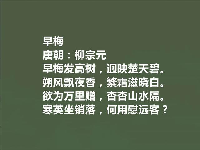 唐朝中期诗人，柳宗元十首诗，极具哲学意味，山水诗让人赞不绝口