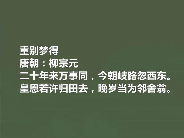 唐朝中期诗人，柳宗元十首诗，极具哲学意味，山水诗让人赞不绝口