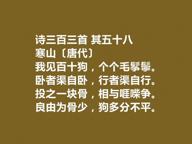 唐朝诗僧，寒山十首诗充满空灵之感，又有教化功能，读懂净化心灵