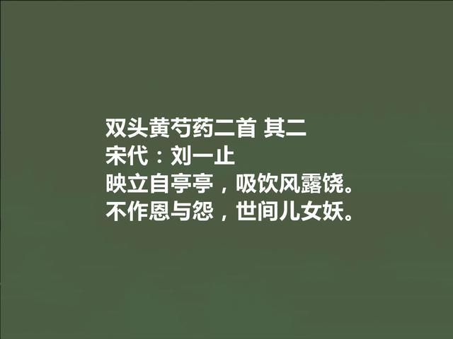 两宋之家著名诗人，刘一止十首诗，充满爱国情怀，隐逸诗最接地气