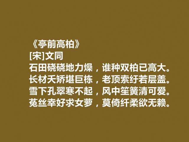 他是苏轼表哥，北宋诗人同文十首诗，山水诗绚丽多姿，彰显大才华