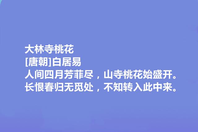 唐朝大诗人，读白居易十首写景诗，语言质朴自然，又暗含人生哲学