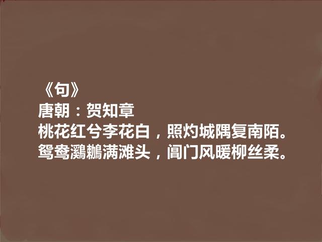 唐朝著名诗人，贺知章十首诗，韵律优美，读来令人陶醉，值得收藏